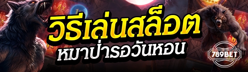 วิธีเล่นสล็อตหมาป่ารอวันหอน