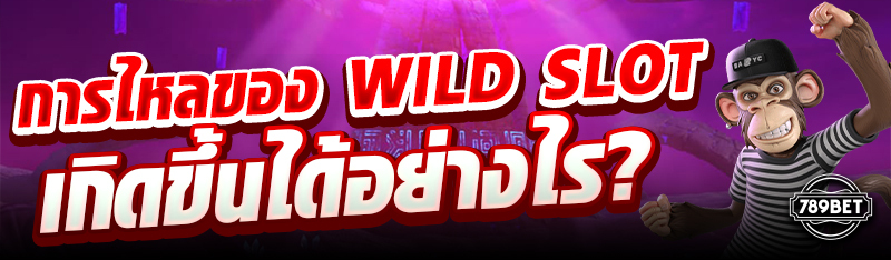 การไหลของ Wild Slot เกิดขึ้นได้อย่างไร?